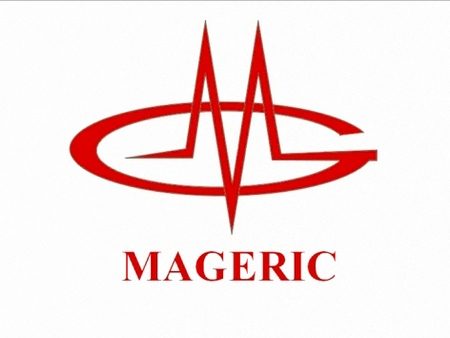 компания Mageric