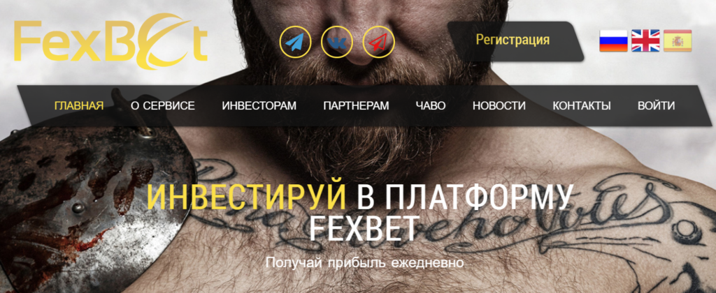 fexbet.com