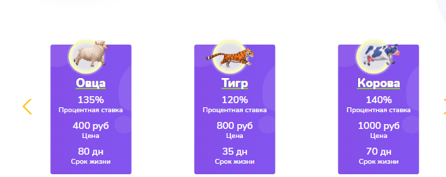 Animal Run